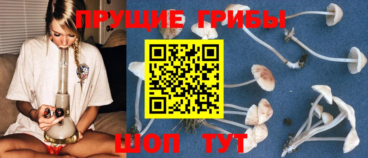 купить закладку  Вход с VPN  Тихвин  Галлюциногенные грибы Cubensis 