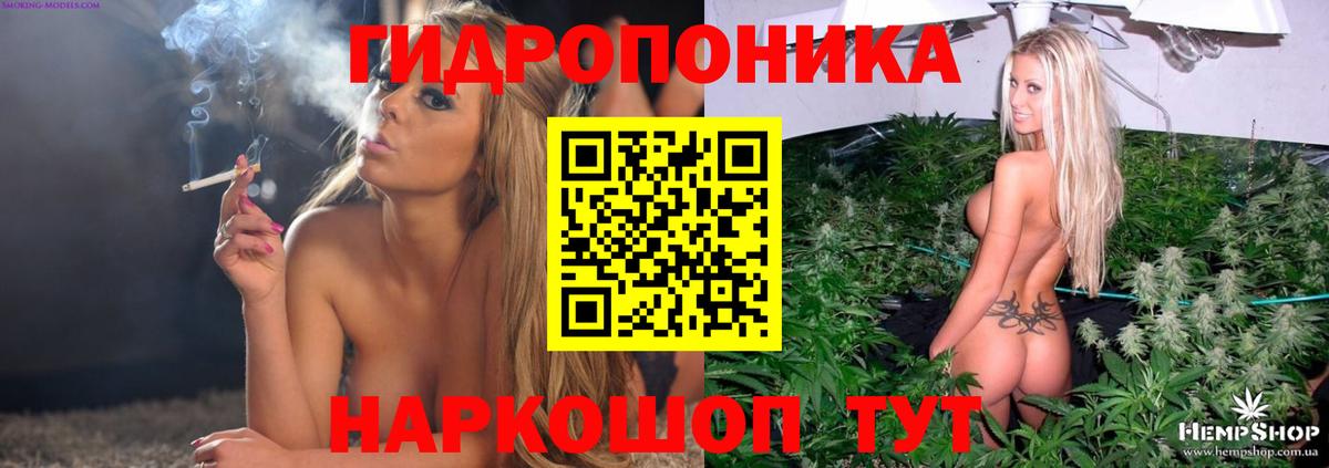 Бошки Шишки VHQ Тихвин